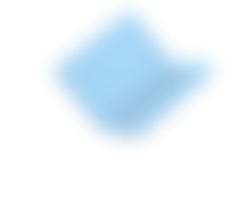Decorative fly icon